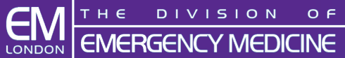 Division Logo